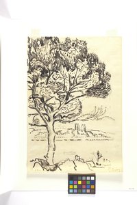 Antibes, Paraply Pine In The Foreground (Antibes, Pin Pignon Au Premier Plan) (ritning med svart bläck med svart penna på brunt vävt papper) av Paul Signac