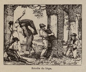  av Paul de Laubadere