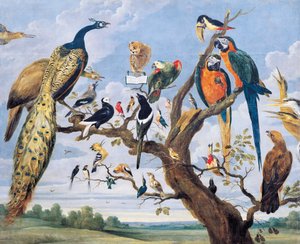 Fågelkonsert, av Paul de Vos (cirka 1591-1678), Nederländerna