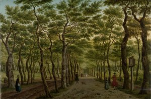 Herepaden i Haagse Bos Scheveningenskogen nära Haag av Paulus Constantijn la Fargue (signed by artist)