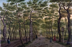 Herepaden i Haagse Bos av Paulus Constantin La Fargue