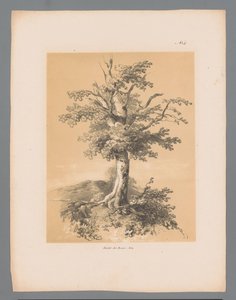 Bom Pittoreska ansikten av Paulus Lauters (serietitel) Etrennes pittoresques pour 1839, av Lauters (serietitel)