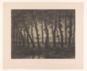 Skogslandskap med flygande fåglar Grand rutt (titel på objekt)