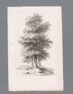 Grupp med fem träd Principer för landskap (serietitel) Principles de paysages (serietitel) av Paulus Lauters