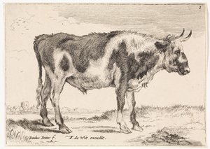 Fläckig oxe Oxar and Cows (serietitel) av Paulus Potter (rejected attribution)
