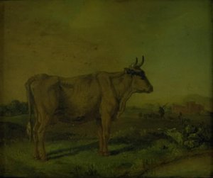 En ko av Paulus Potter