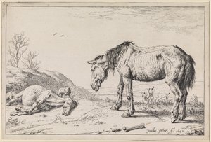 Utslitna hästar av Paulus Potter