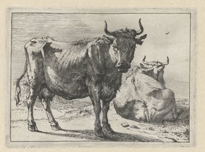 En stående och en liggande ko The Bullen-häftet (serietitel) av Paulus Potter