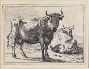 En stående och en liggande ko av Paulus Potter