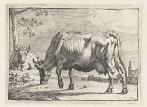 Betande ko The Bull Book (serietitel) av Paulus Potter