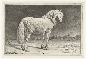 Den friesiska hästen Hästar (serietitel) av Paulus Potter