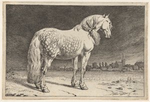 Den friesiska hästen Hästar (serietitel) av Paulus Potter