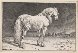 Den frisiska hästen av Paulus Potter