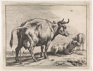 pissande ko The Bullen-häftet (serietitel) av Paulus Potter