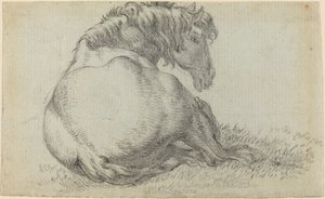 Vilande häst av Paulus Potter