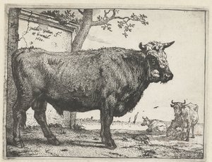 Oxen The Bull Book (serietitel) av Paulus Potter