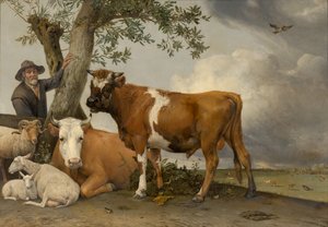 Tjuren av Paulus Potter