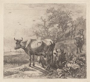 Koherden av Paulus Potter