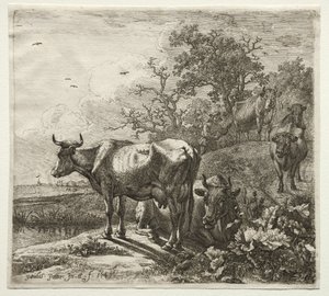 Koherden. av Paulus Potter