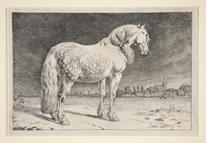 Frieslandhästen av Paulus Potter