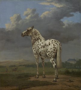 The "Piebald" Horse, c.1650-4 (olja på duk) av Paulus Potter