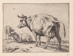 Den pissande kon, från Olika oxar och kor av Paulus Potter