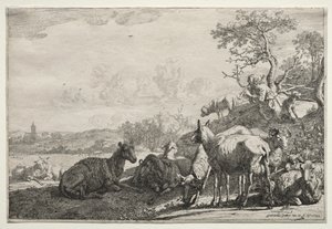 swedish av Paulus Potter