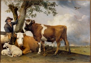 Den unga tjuren En herde och hans boskap, belier, lamm, ko och tjur. Målning av Paul Potter (1625-1654) 1647 Sön. 2,36x3,39 m Haag. Mauritshuis