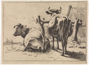 Två kor sedda bakifrån The Bullen-häftet (serietitel) av Paulus Potter