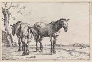 Två ploghästar av Paulus Potter