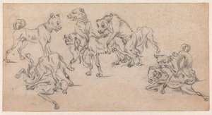 Kämpande och parande hundar av Paulus Potter