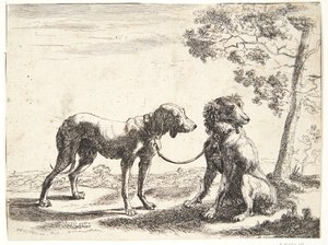 Två hundar sammanbundna av Paulus van Hillegaert (II)