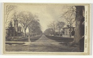 Hillhouse Avenue av Peck Brothers