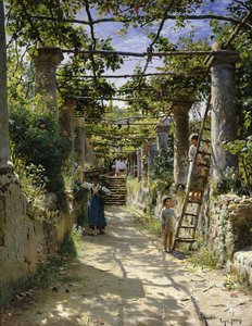 I skuggan av en italiensk pergola, en varm eftermiddag i Anacapri