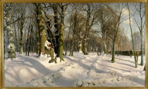 Snöig vinterskog i solljuset