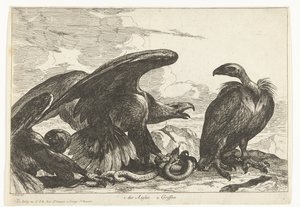 Gam och en örn med orm 1. des Aigles 2. Griffon (titel på objekt) Fåglar från menageriet i Versailles (serietitel)