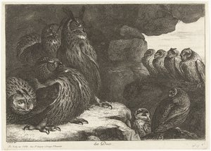 Ugglor i en grotta des Ducs (titel på objekt) Fåglar från menageriet i Versailles (serietitel)