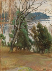 Sälg på hösten av Pekka Halonen