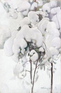 Snötäckta tallplantor