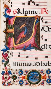Piccolomini bibliotek: körbok, torsk. 5.E, ff. 63r med "Foliated initial", av Pellegrino di Mariano. Detalj.