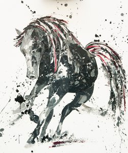 Capriccio, 2014 av Penny Warden