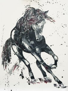 Betydelse, 2016 av Penny Warden