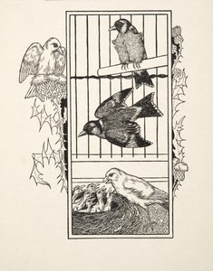En välgörande kanariefågel, från A Hundred Anecdotes of Animals, pub. 1924 av Percy J. Billingshurst