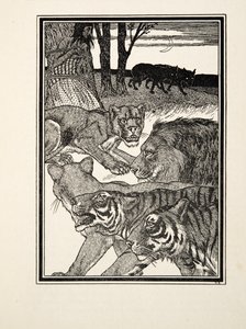 En tacksam lejoninna, från Hundra anekdoter av djur, pub. 1924 (gravyr) av Percy J. Billingshurst
