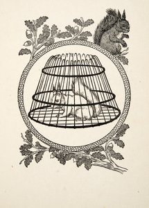 En flyktingekorre, från Hundra anekdoter av djur, pub. 1924 av Percy J. Billingshurst