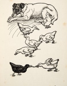 A Singular Foster-Mother, från A Hundred Anecdotes of Animals, pub. 1924 av Percy J. Billingshurst
