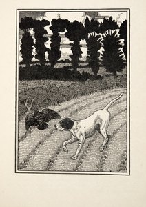 Deceiving the Fowler, från A Hundred Anecdotes of Animals, pub. 1924 av Percy J. Billingshurst