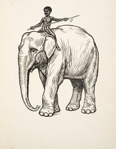 Ånger, från Hundra anekdoter av djur, pub. 1924 av Percy J. Billingshurst