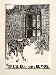Hunden och vargen, från Aesops hundra fabler, pub.1903 (gravyr) av Percy J. Billingshurst