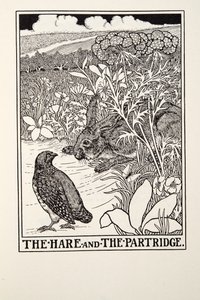 Haren och rapphönan, från Fontaine Fables, pub. 1905